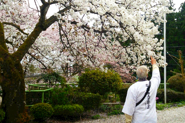 “北陸三十三ヶ所観音霊場”を全周しました