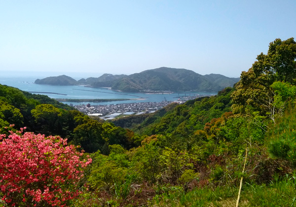 「第十回歩き遍路四国八十八ヶ所巡礼の旅」にきました