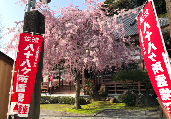佐渡八十八ヶ所霊場めぐり に行ってまいりました